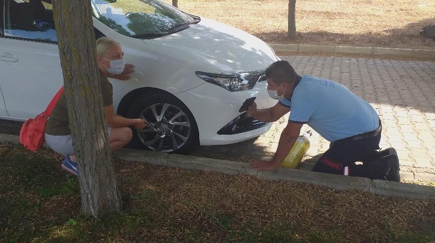 Yapmadıkları kalmadı! İnatçı kedi çileden çıkardı