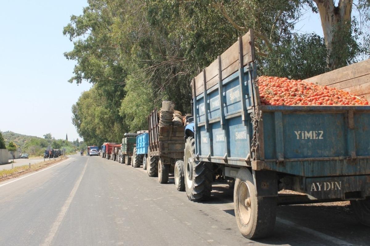 Domates &uuml;reticileri sal&ccedil;a fabrikası &ouml;n&uuml;nde uzun kuyruklar oluşturdu