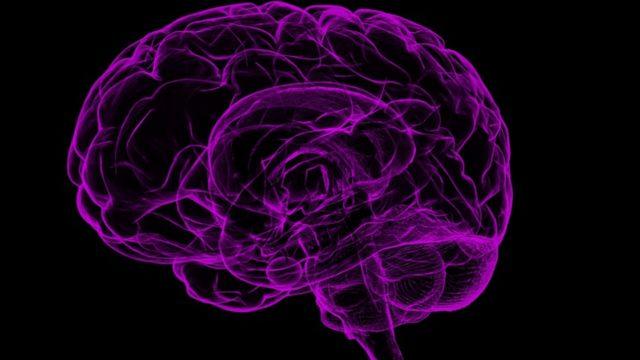 Sinir sistemine ne iyi gelir? Kas ve sinirleri güçlendiren besinler, hareketler nelerdir?