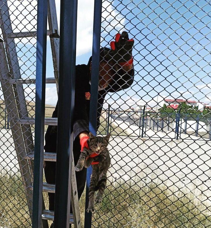 İstinat duvarları arasında mahsur kalan yavru kedi kurtarıldı G1