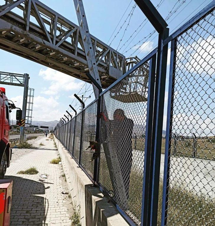 İstinat duvarları arasında mahsur kalan yavru kedi kurtarıldı G2