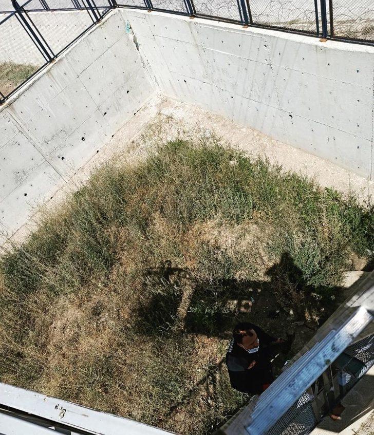 İstinat duvarları arasında mahsur kalan yavru kedi kurtarıldı G4