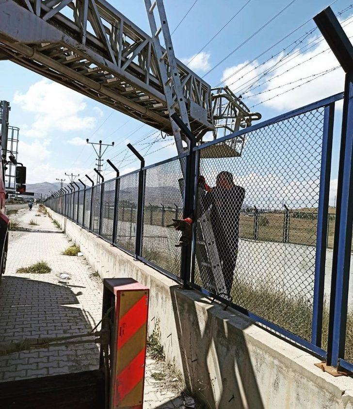 İstinat duvarları arasında mahsur kalan yavru kedi kurtarıldı G5