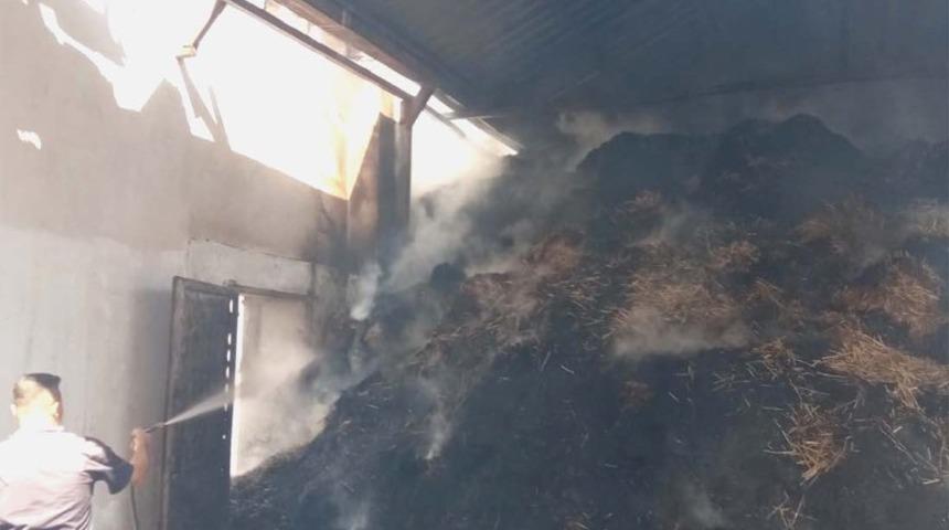 Paşaliman Adasında yangında 3 ve 1 samanlık yandı