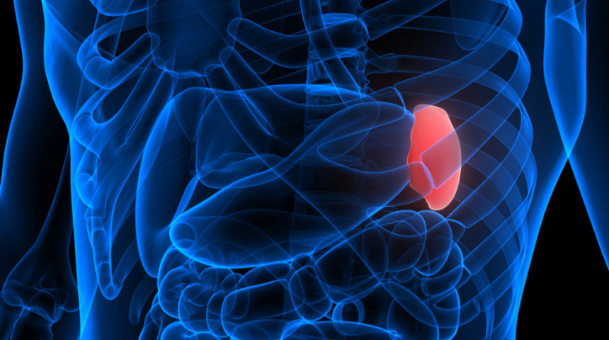 Dalağa ne iyi gelir? Dalağa faydalı besinler ile evde doğal tedavi mümkün mü?