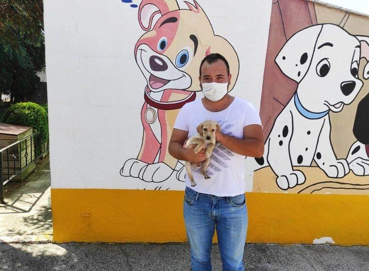 Çorlu Belediyesi sokak hayvanlarına sahip çıkıyor G1