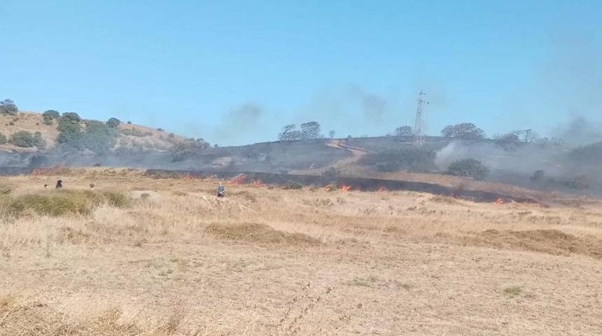 Paşaliman Adasında zeytinlik yangını