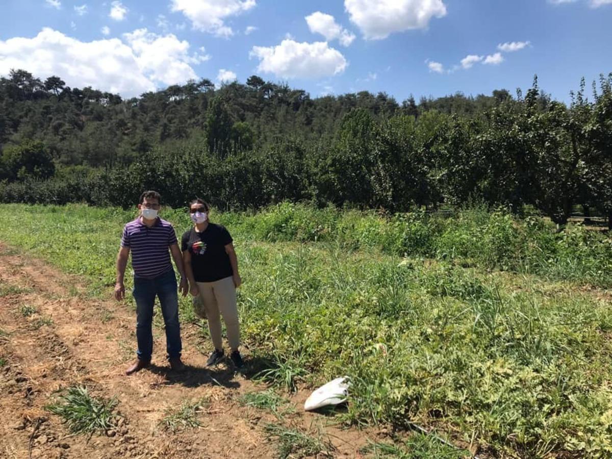 Sebze ve meyvelere zarar veren hastalıklara karşı m&uuml;cadele başlatıldı