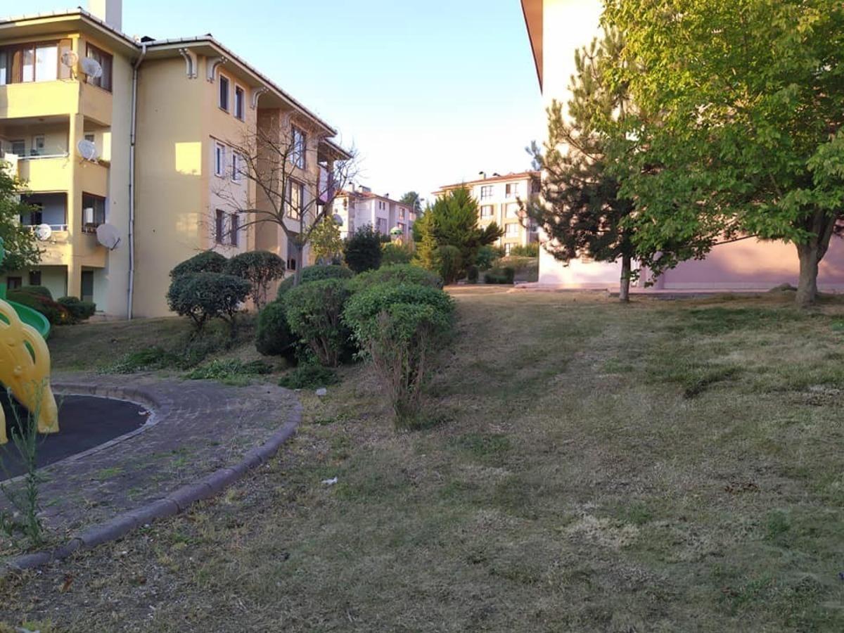 Bah&ccedil;eşehir&rsquo;de otlar bi&ccedil;ildi