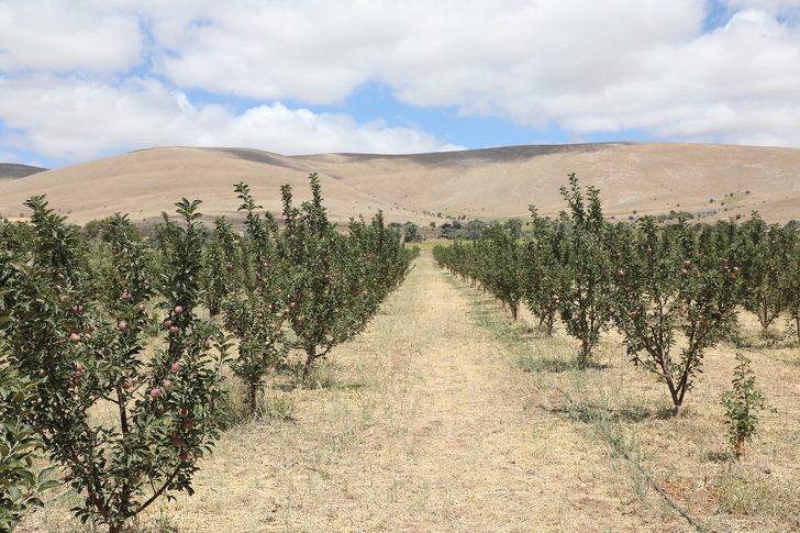 Başkan Yalçın’dan bilinçli tarım teşviki G4
