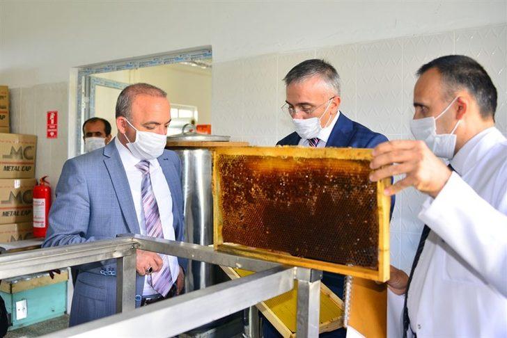 Vali Hüseyin Öner, Kafkas Arısı Üretim Eğitim ve Gen Merkezi Müdürlüğünü ziyaret ederek brifing aldı G1