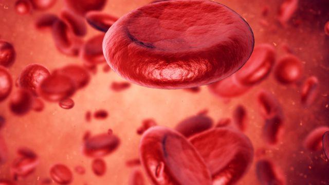 RBC (Eritrosit, alyuvar) nedir? RBC düşüklüğü, yüksekliği, normal değeri