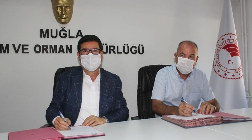 Bodrum ve Milas&rsquo;ta deniz kıyılarını, k&uuml;lt&uuml;r balık&ccedil;ıları temizleyecek