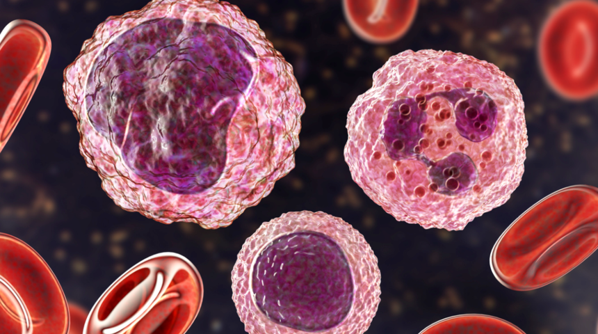 LYM (Lenfosit) nedir, LYM düşüklüğü, yüksekliği, normal değeri
