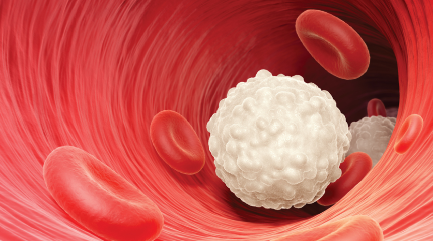 WBC (Lökosit) nedir? Kanda-idrarda WBC yüksekliği, düşüklüğü, normal değeri