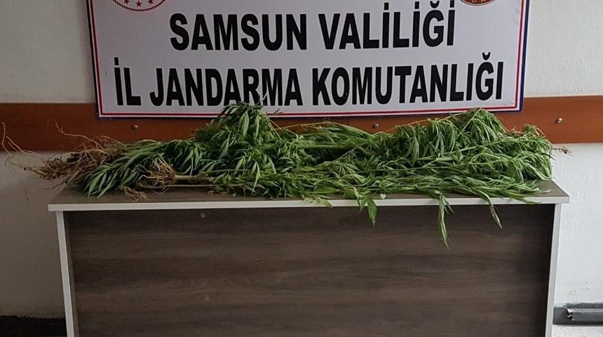 Terme&rsquo;de jandarmadan operasyon