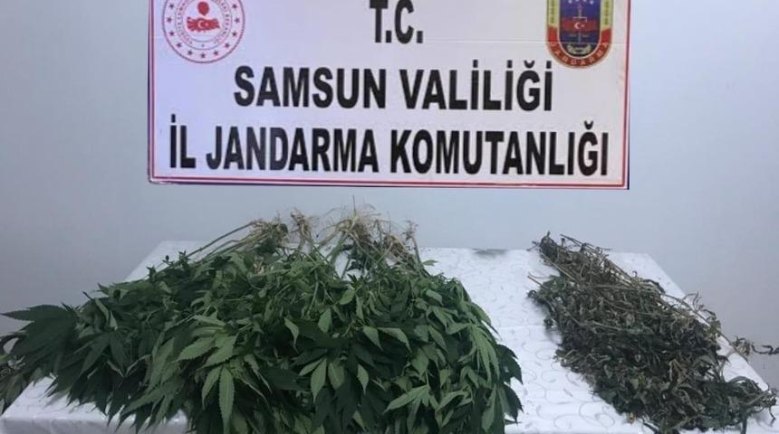 Salıpazarı’nda esrar operasyonu:2 gözaltı