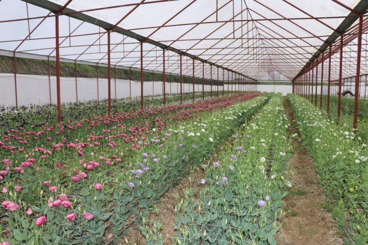 Ordu’da büyükşehir arazilerini üretime açtı G2