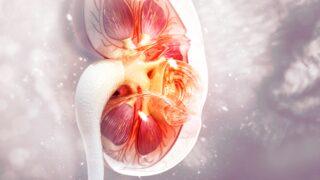 Böbrek ağrısı: Nedenleri, belirtileri, tedavisi