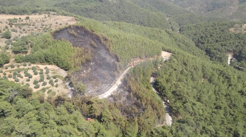 Muğla Orman Bölge Müdürlüğü’nün anında müdahalesi faciayı önledi