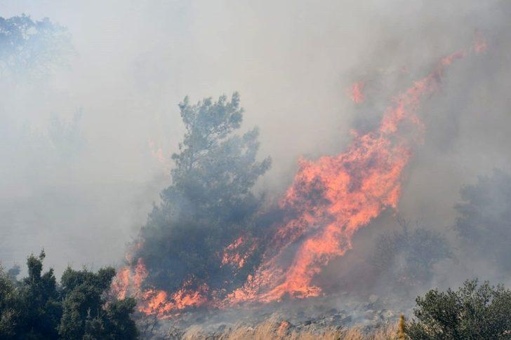 Güllübahçe Antik Kenti’nde yangın G1