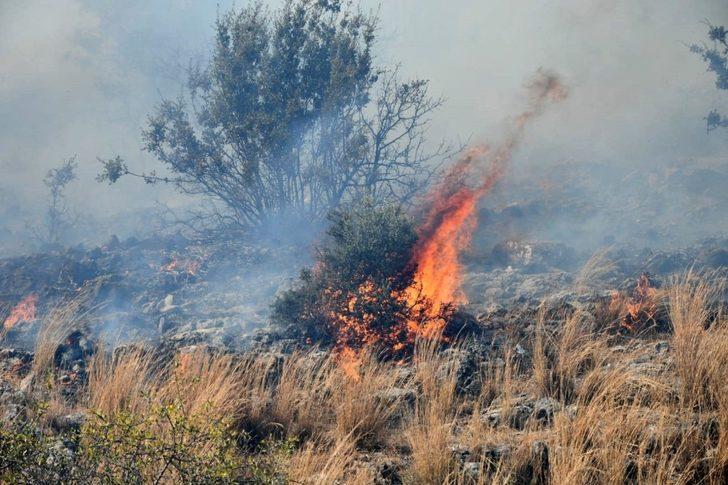 Güllübahçe Antik Kenti’nde yangın G2