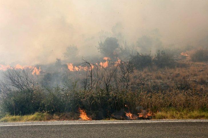 Güllübahçe Antik Kenti’nde yangın G3