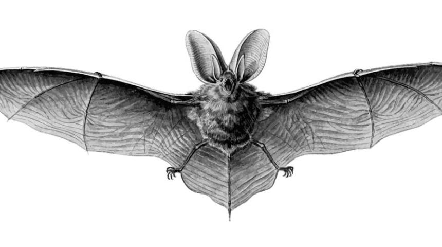 Bilim insanları: Koronavir&uuml;s 2012&rsquo;de ortaya &ccedil;ıktı