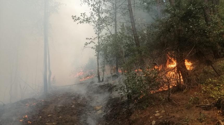 Adana’da çıkan orman yangını ile ilgili 3 kişi gözaltına alındı