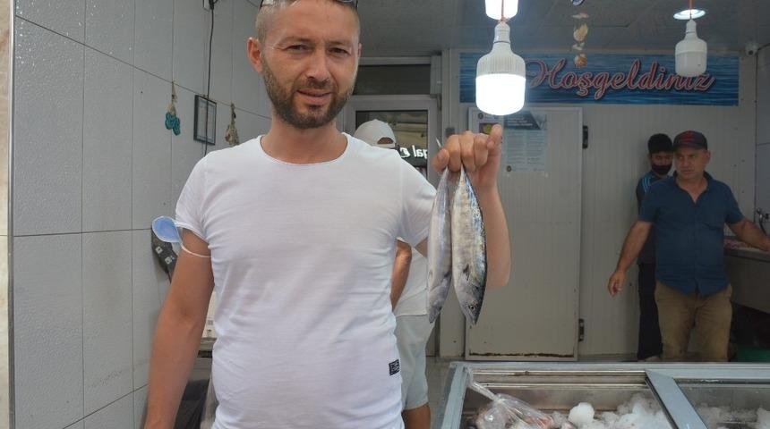 Palamut sezonu heyecanı