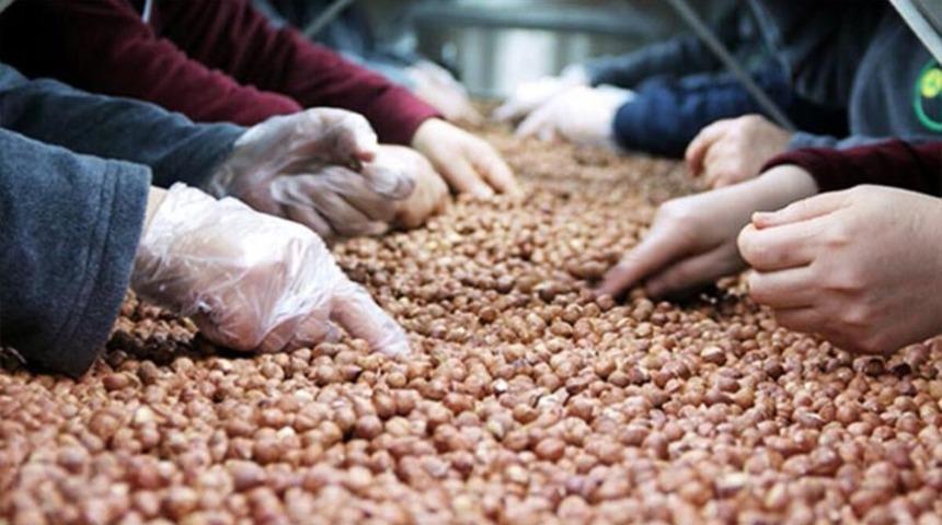 Fındık ihracatında t&uuml;m zamanların rekoru kırıldı