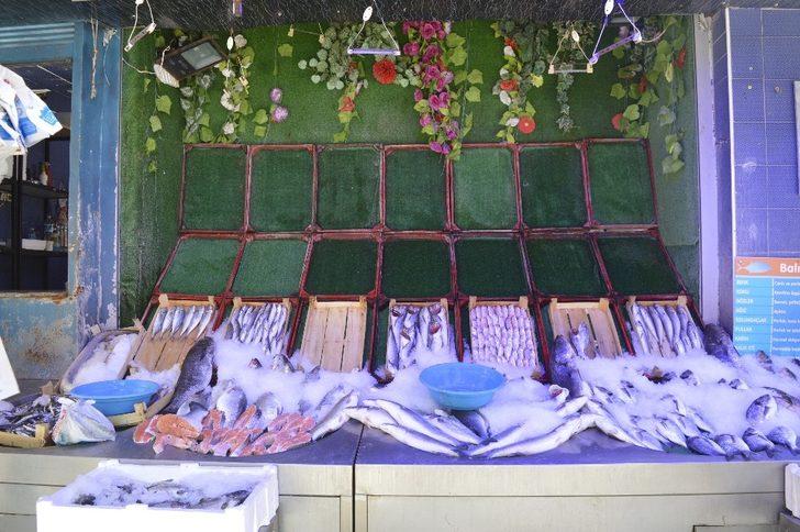 Balıkçılar yeni sezonu heyecanla bekliyor G4