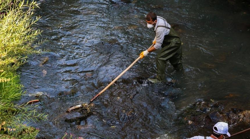 Bitlis’te dere temizliği