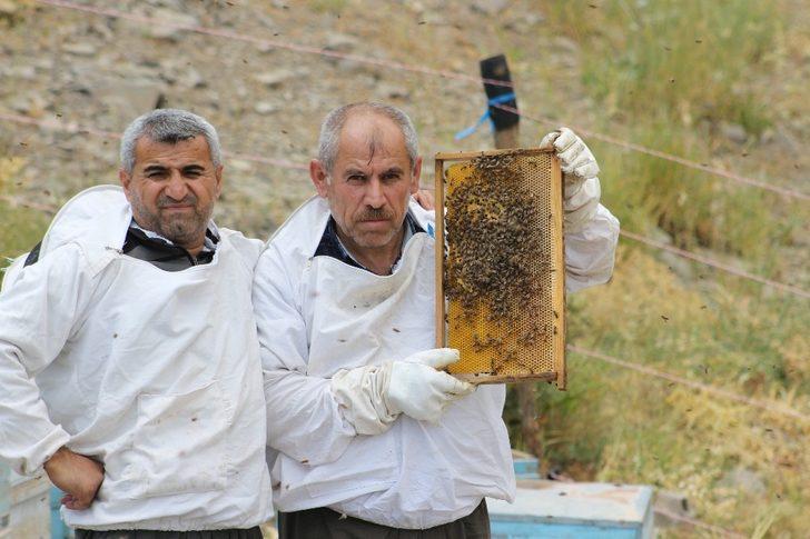 Şırnak’ta ilk bal hasadı Kel Mehmet Dağlarında yapıldı G2