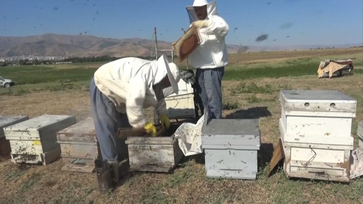 Muş&rsquo;ta hasadı yapılan ballar birlik eliyle pazarlanacak