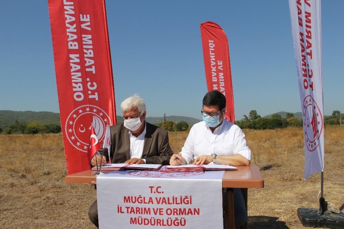 Ula&rsquo;da 460 d&ouml;n&uuml;ml&uuml;k alan mera olarak hizmet verecek