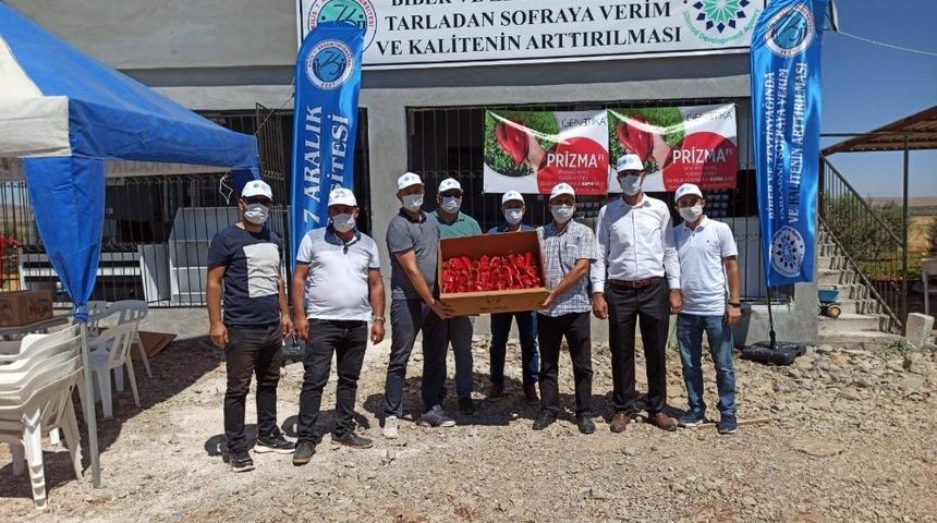 Tarladan sofraya verim ve kalitenin arttırılması projesi