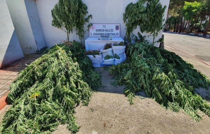 Samsun’da uyuşturucu operasyonları: 12 gözaltı G1