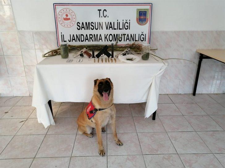 Samsun’da uyuşturucu operasyonları: 12 gözaltı G3