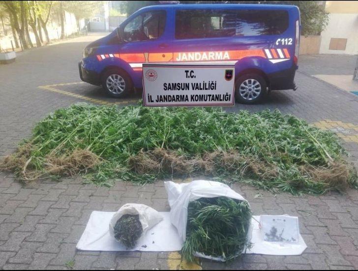 Samsun’da uyuşturucu operasyonları: 12 gözaltı G4