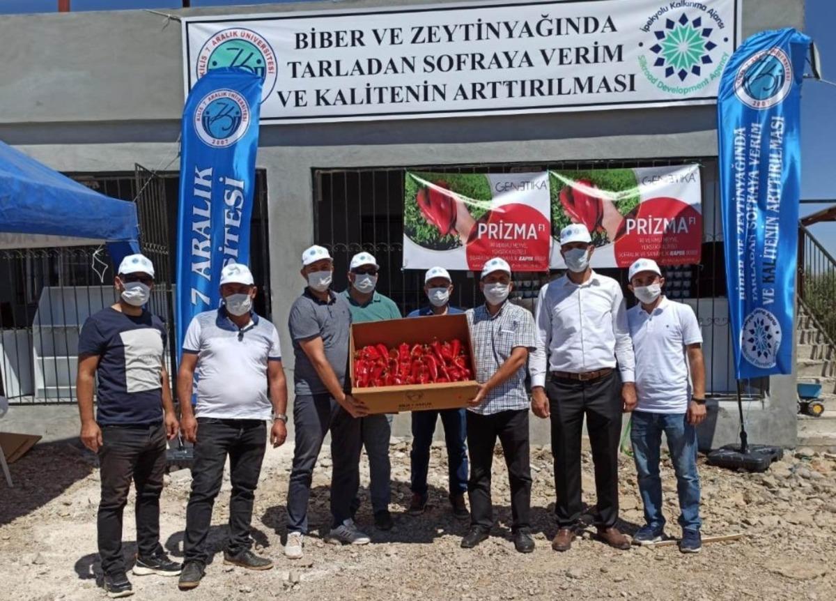 Biber ve Zeytinyağında kaliteyi arttırmak i&ccedil;in projeler &uuml;retiliyor