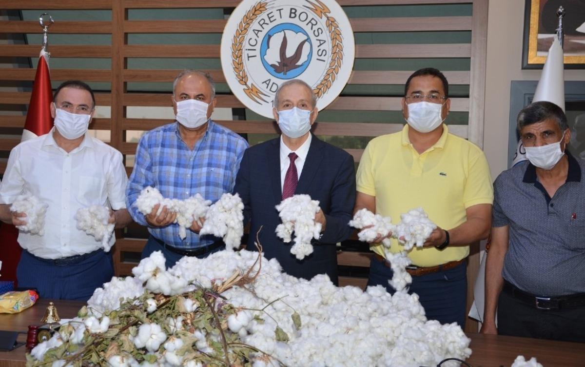 Sezonun ilk k&uuml;tl&uuml; pamuğu ATB&rsquo;de 55 liradan satıldı