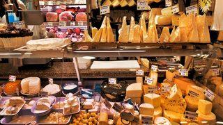 Gut Hastalığı ve Beslenme