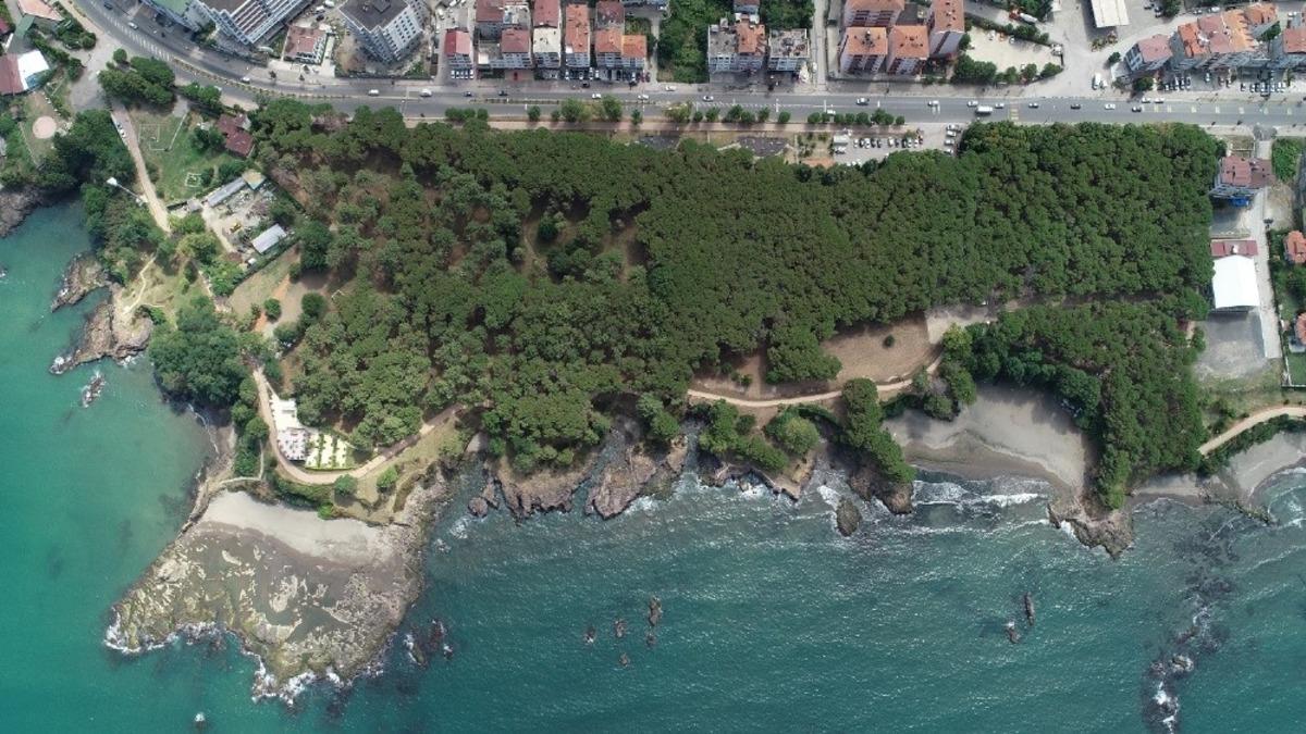 &Ccedil;amlık nefes aldı