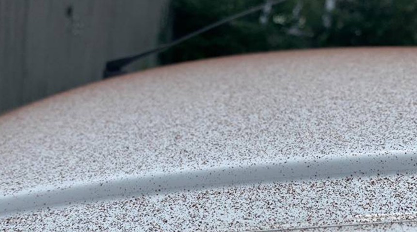 İnanılmaz: Gökten çikolata yağdı