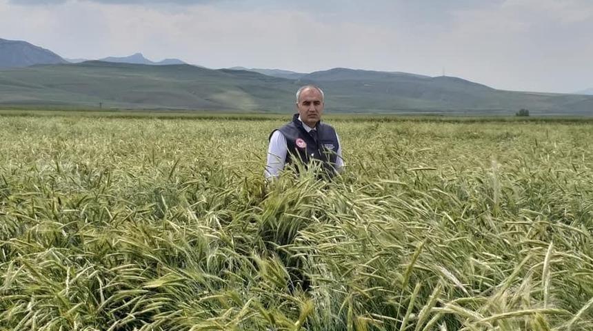 Sertifikalı tohumda 1 yılda y&uuml;zde 40&rsquo;lık artış