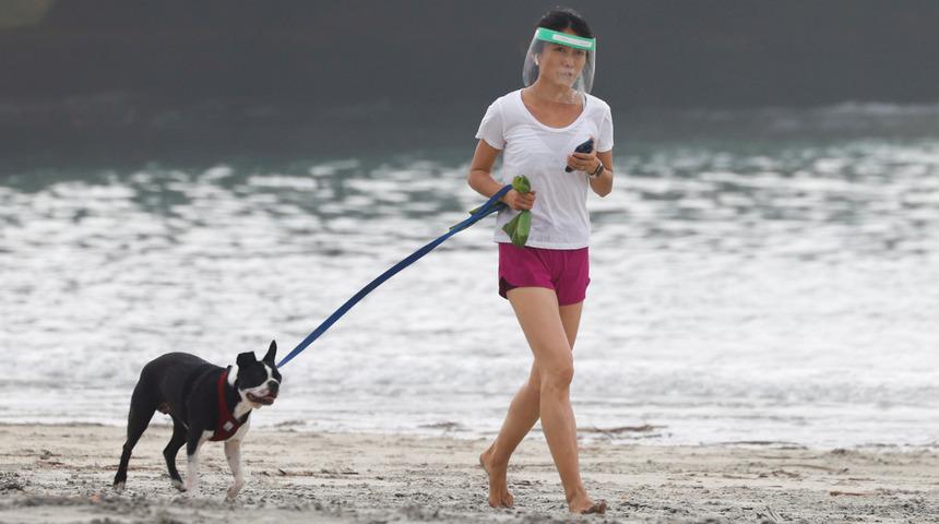 Almanya'da yeni yasa ile köpeklere günde iki defa yürüyüş zorunlu olacak