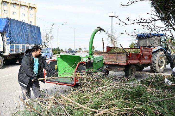Çayırova, budayarak gübre üretiyor G1