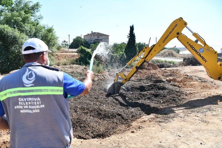 Çayırova, budayarak gübre üretiyor G2