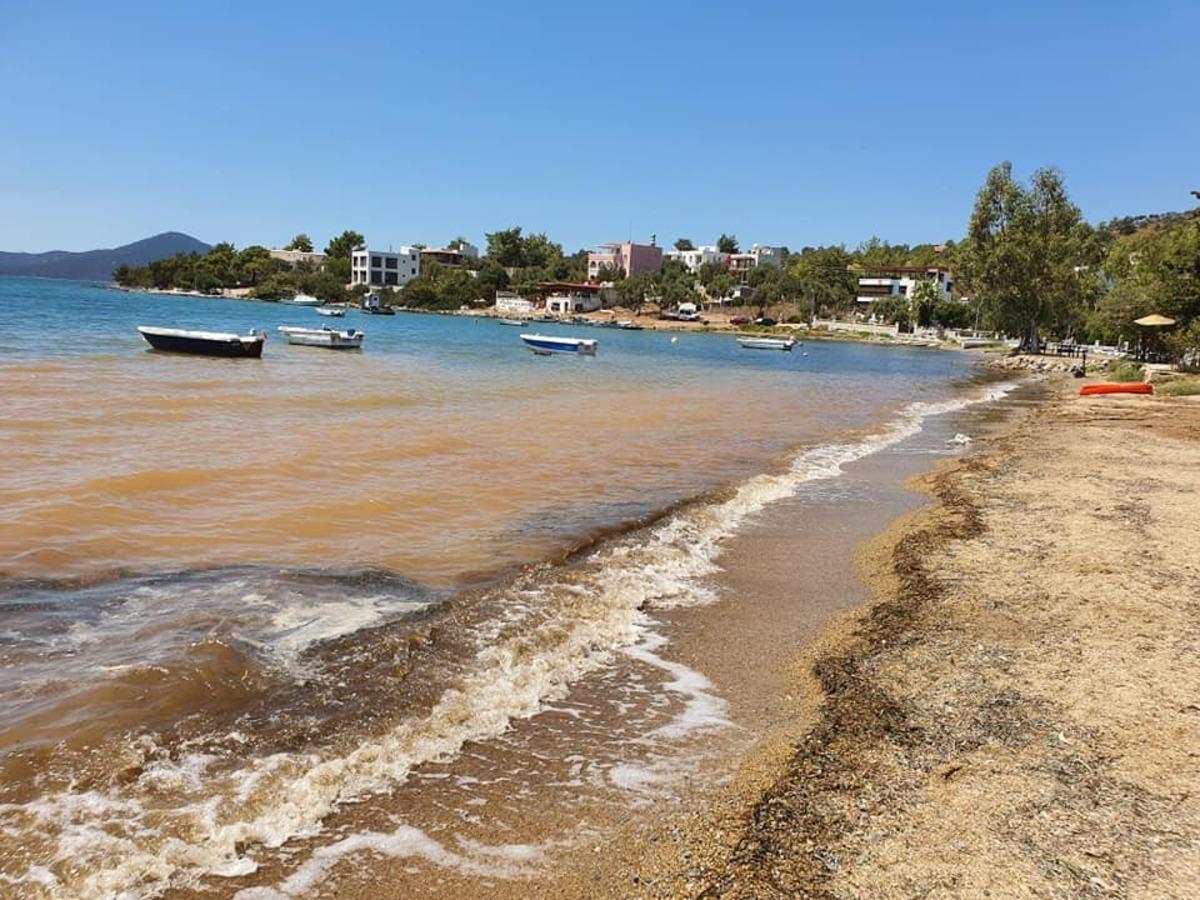 Zeytinlikuyu&rsquo;daki g&ouml;r&uuml;nt&uuml;n&uuml;n nedeni belli oldu